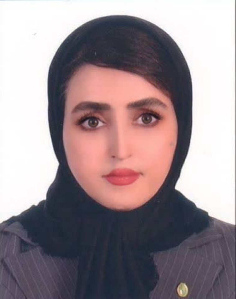 وکیل پایه یک دادگستری و مشاور