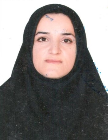 وکیل پروانه ابراهیمی