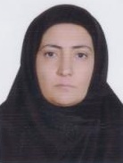 وکیل پروانه عارف ثانی