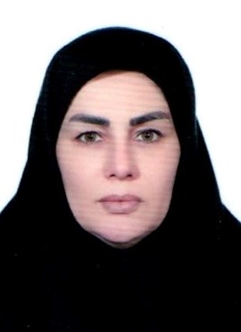 وکیل پروانه نجفی