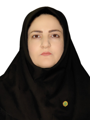 وکیل پروین برغی