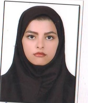 وکیل پریسا کوکچلو
