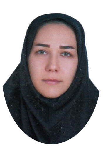 وکیل کبری جهانگیری