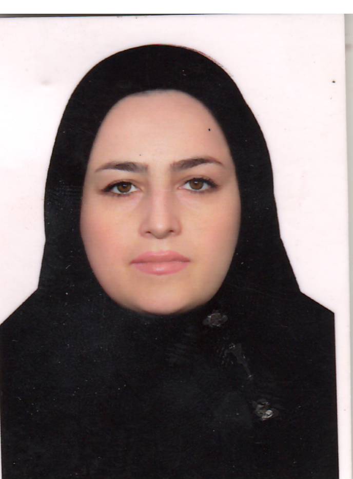 وکیل گلاویژ حسینی