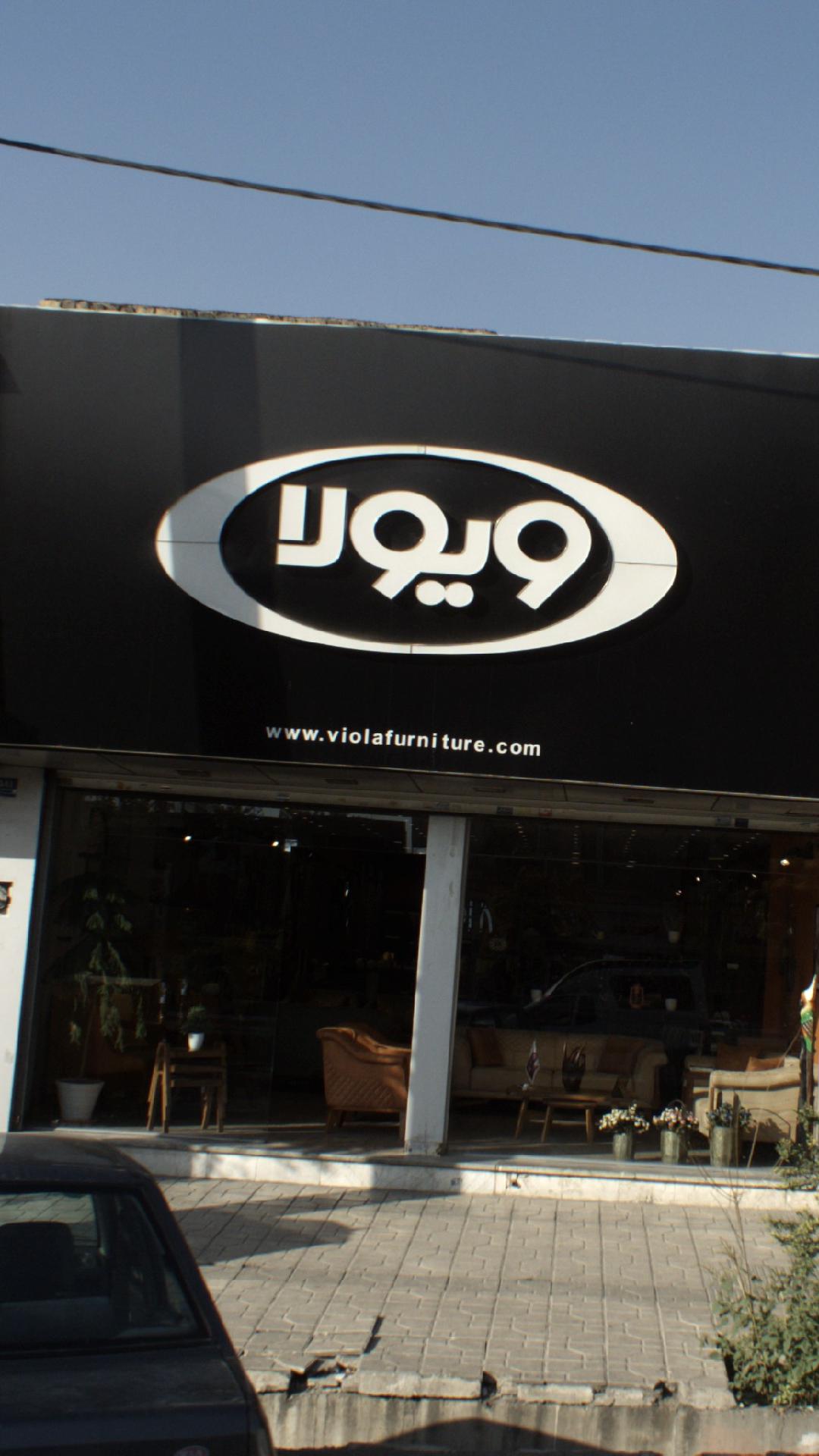 ویولا