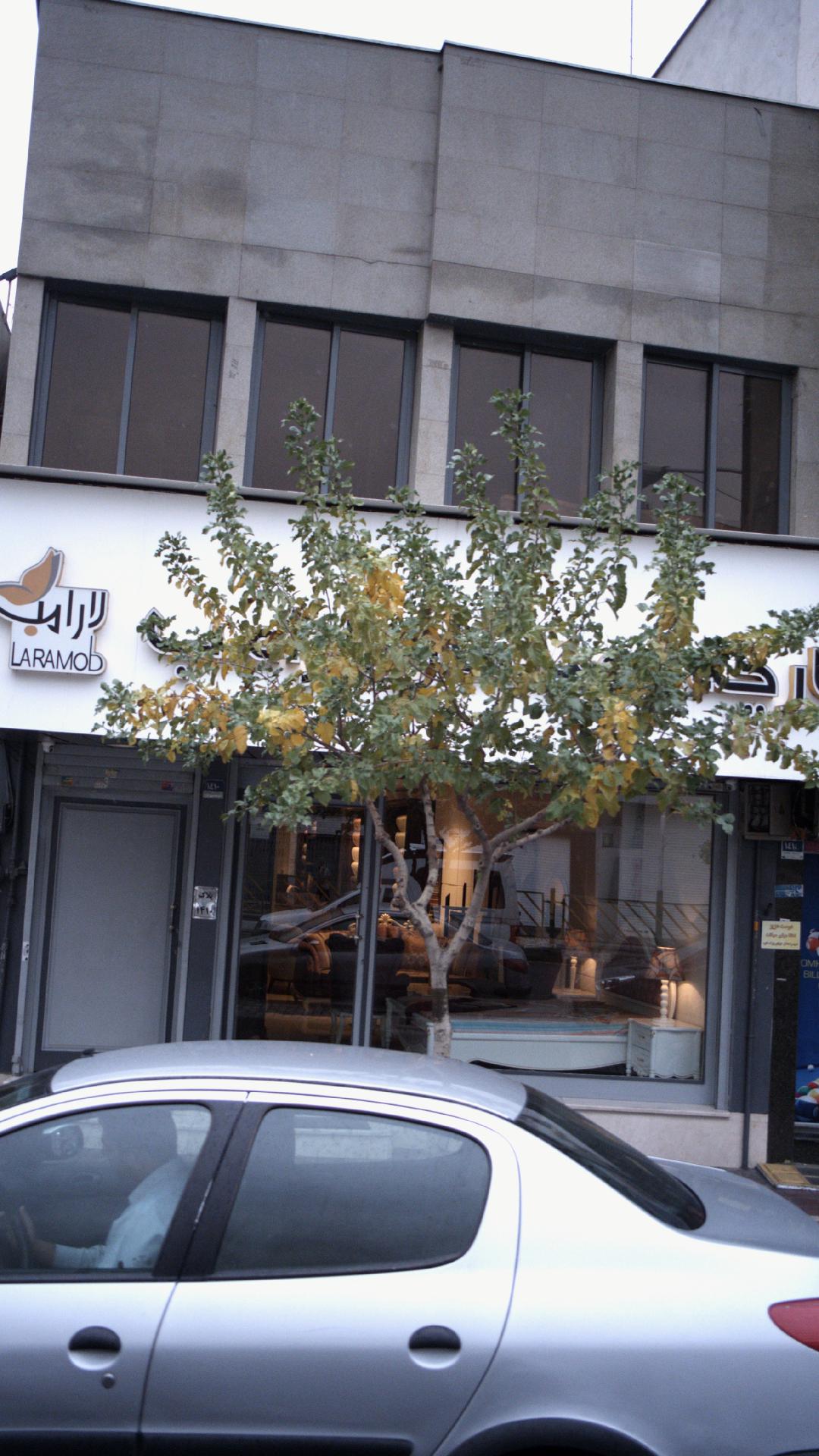 پارچه سرا و کالای خواب ونوس
