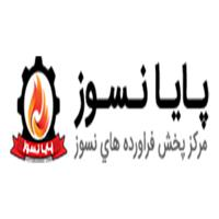 پایا نسوز