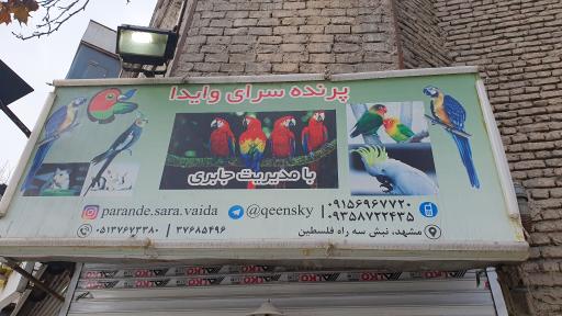 پرنده سرای وایدا