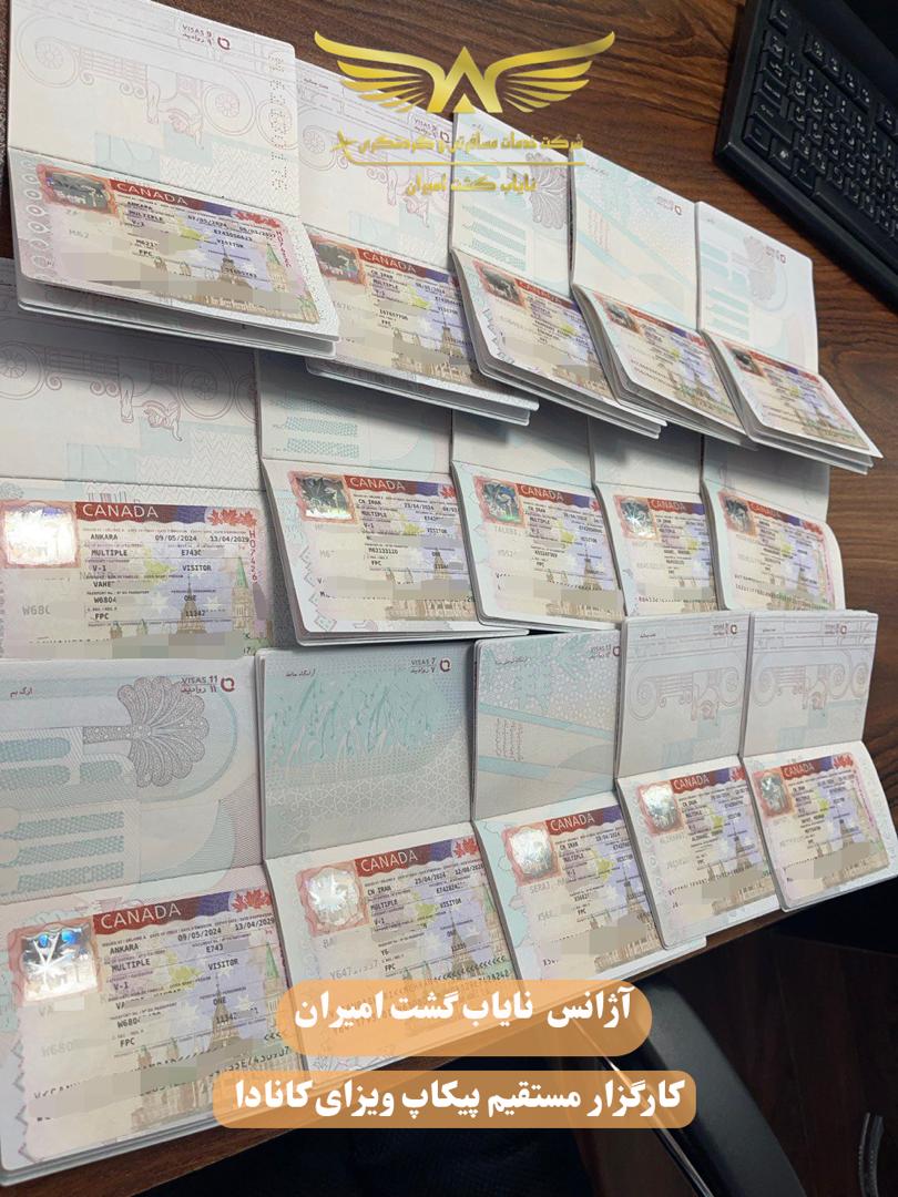 پرواز مانا فرداد
