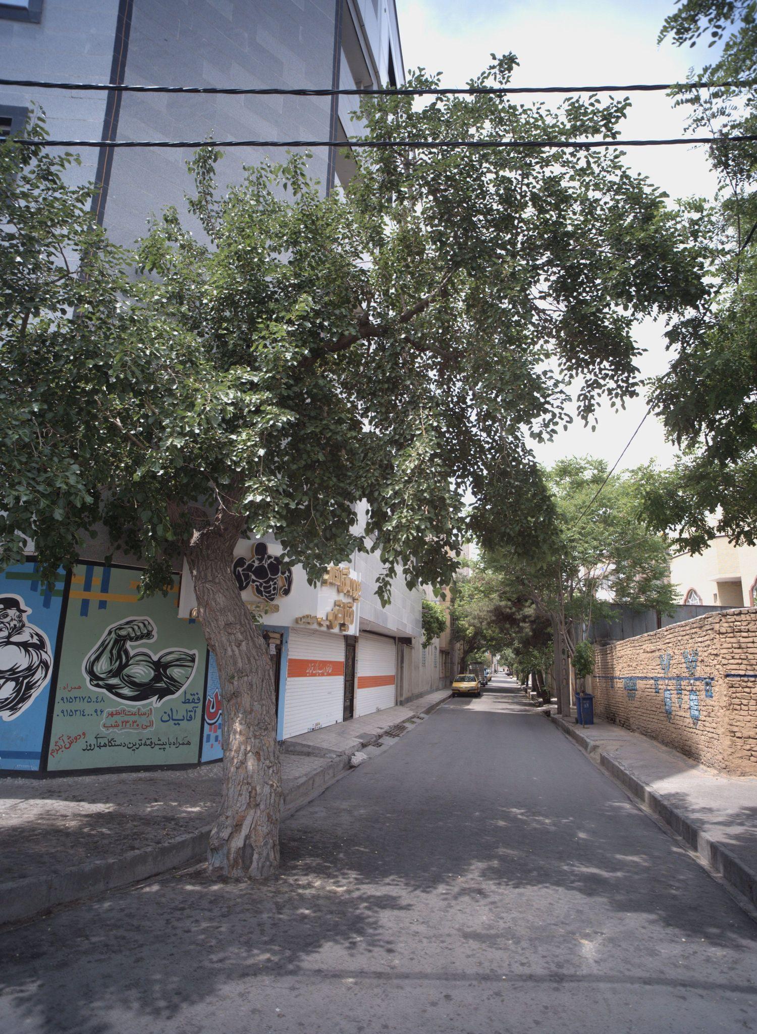 پرورش اندام تک اندام
