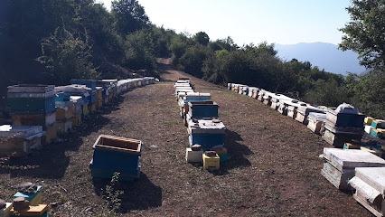 پرورش ملکه گلستان