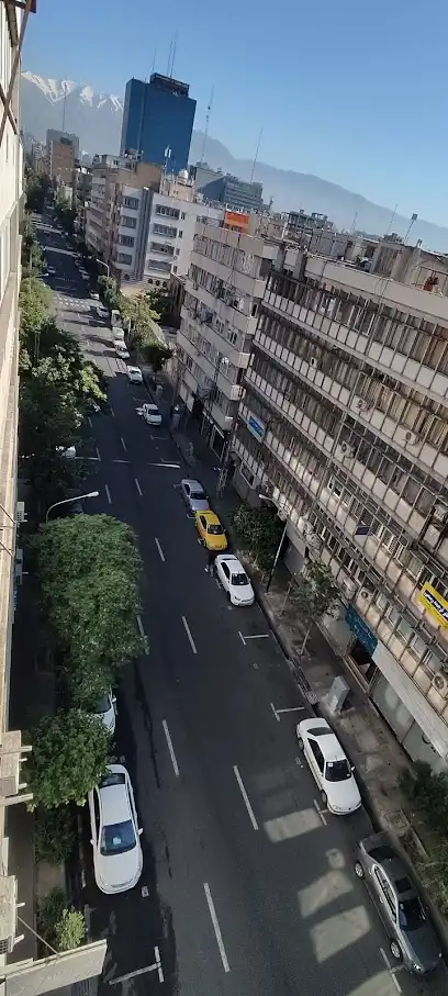 پرینتر یدک پارس