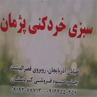 پژمان