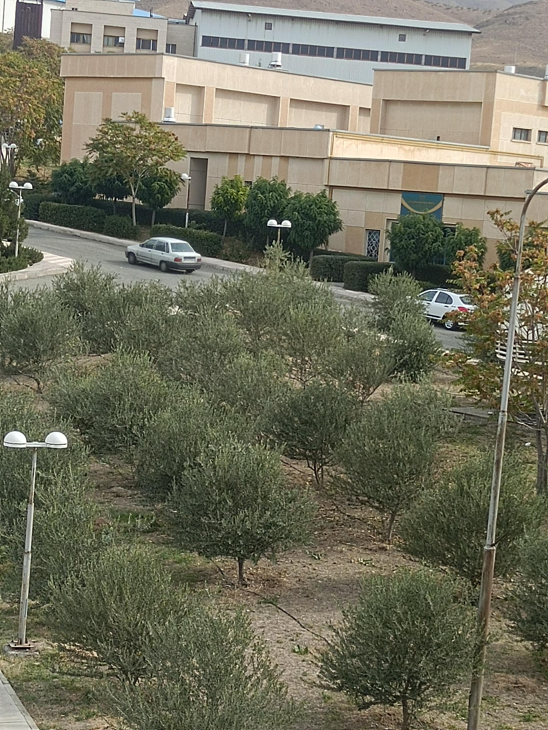 پژوهشکده گیاهان دارویی جهاد دانشگاهی
