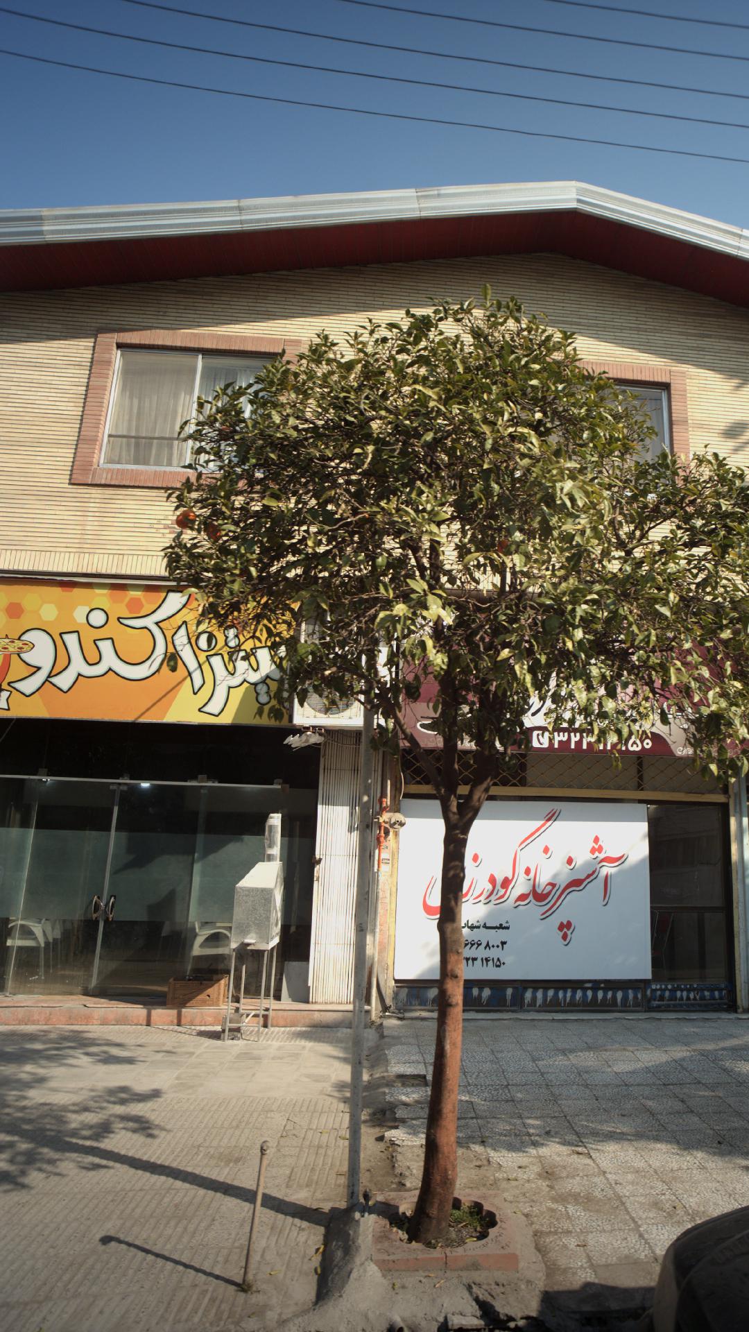 پیتزا کندو