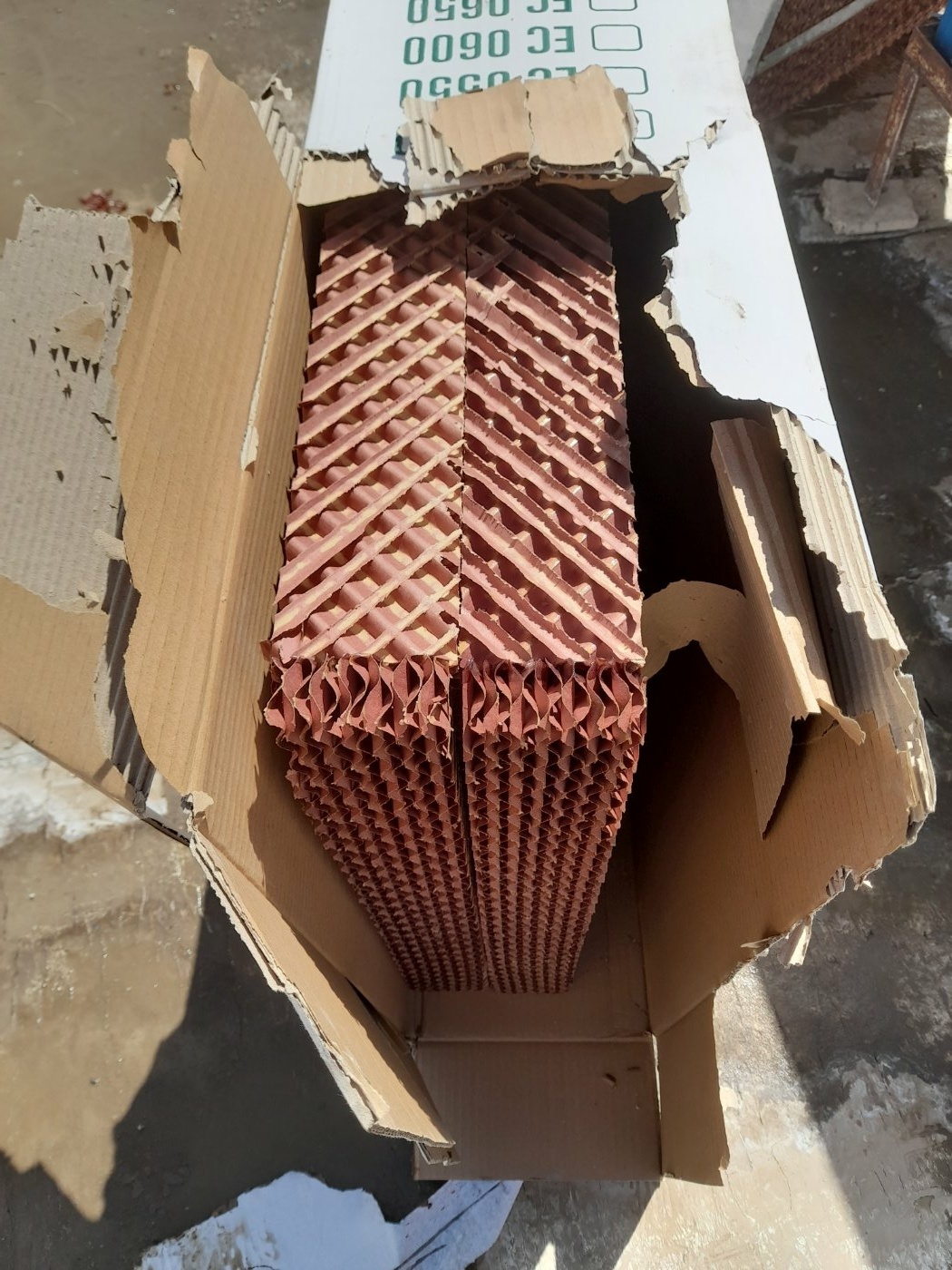 پیمان خالقی زنوز