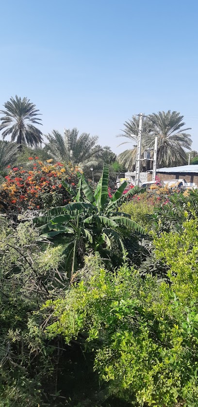 چشمه آب گرم معدنی درمانی موزه مادرشاه سابق