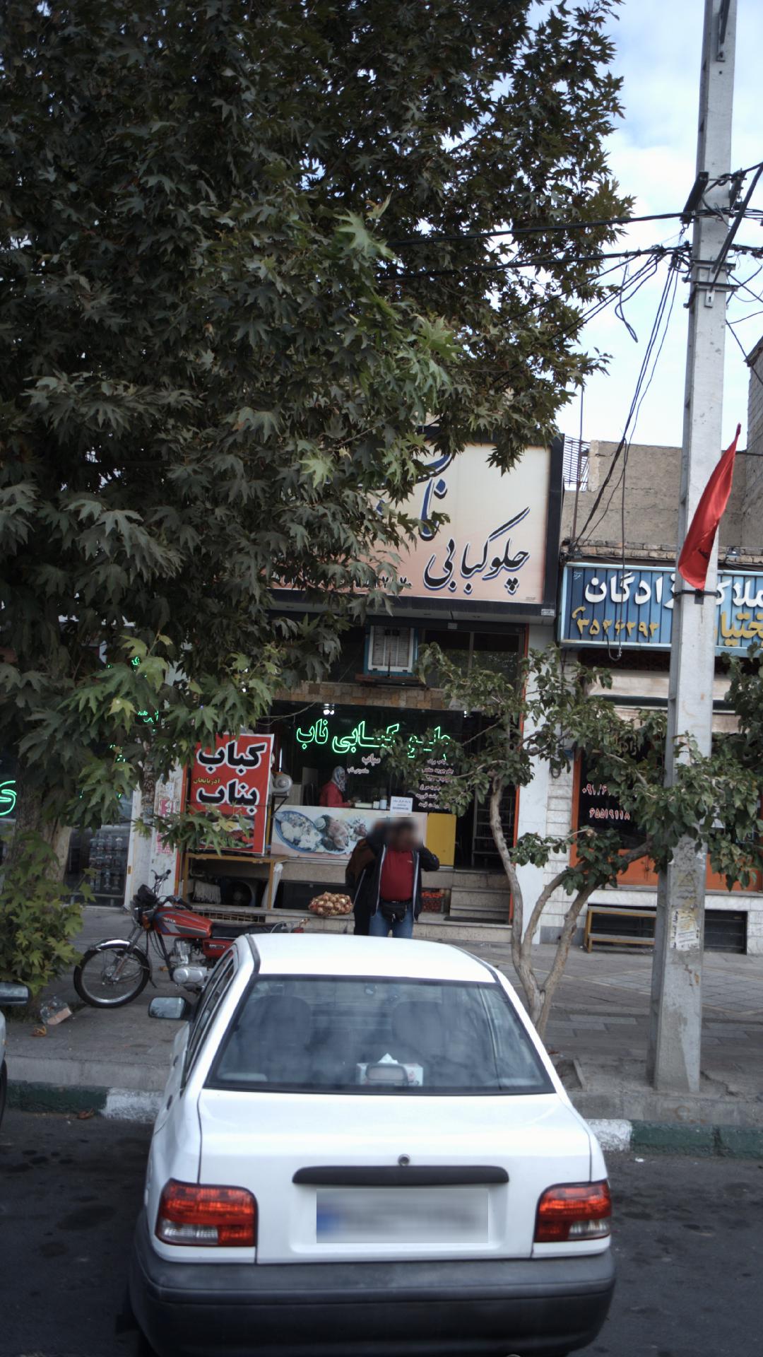 چلو کبابی ناب