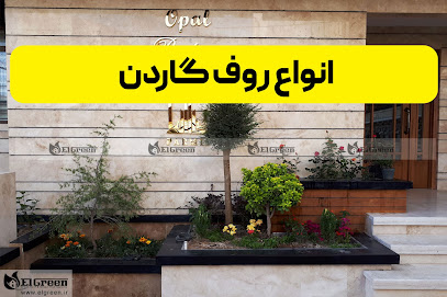 چکادبام