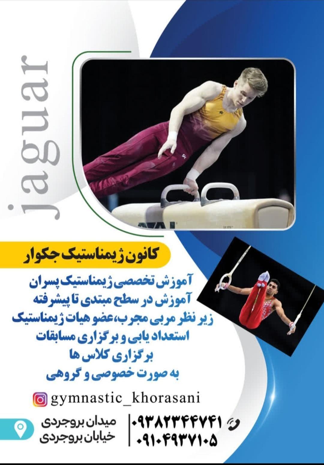 ژیمناستیک جگوار