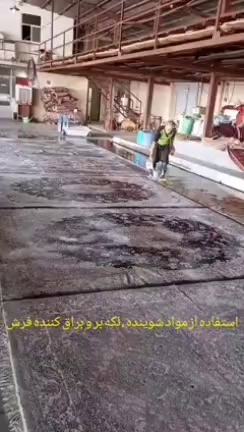کارخانه قالی شویی ممتاز مقدم