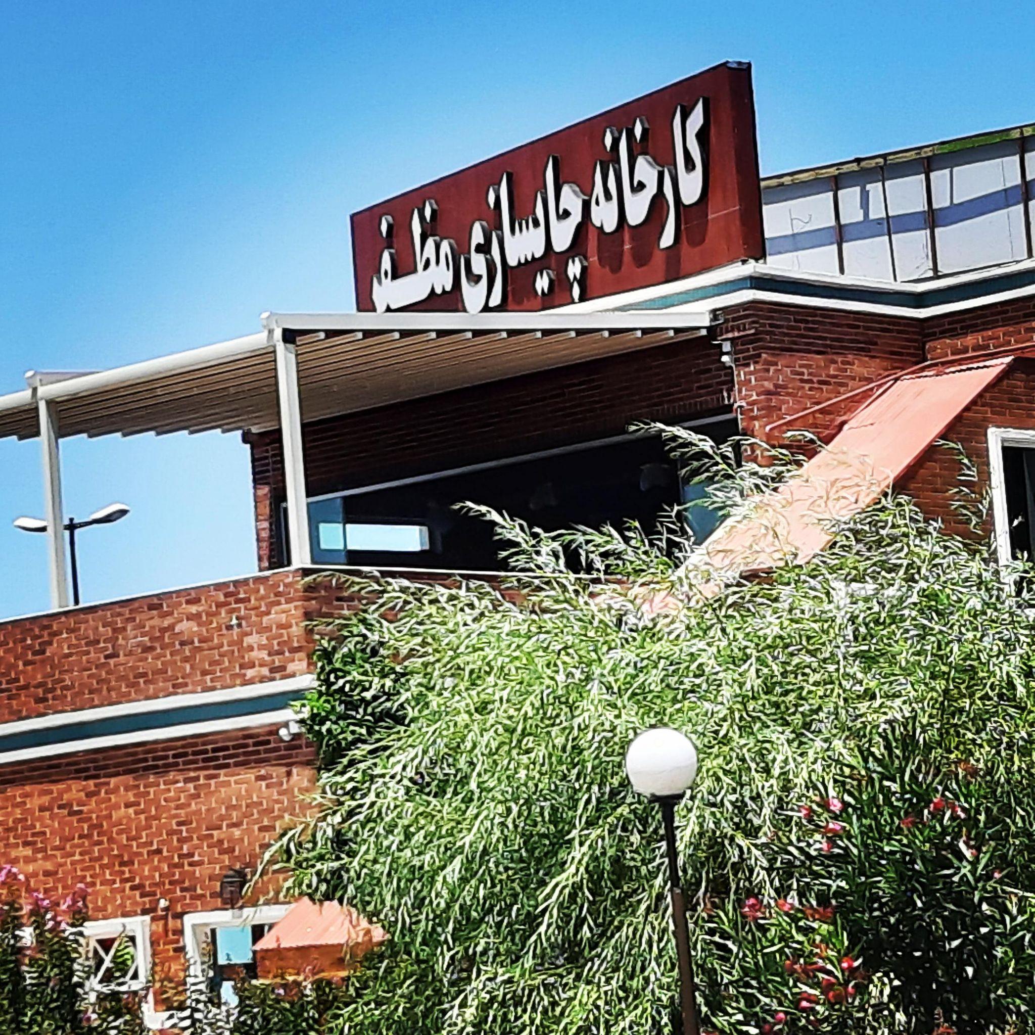 کارخانه چایسازی مظفر باغ مظفر