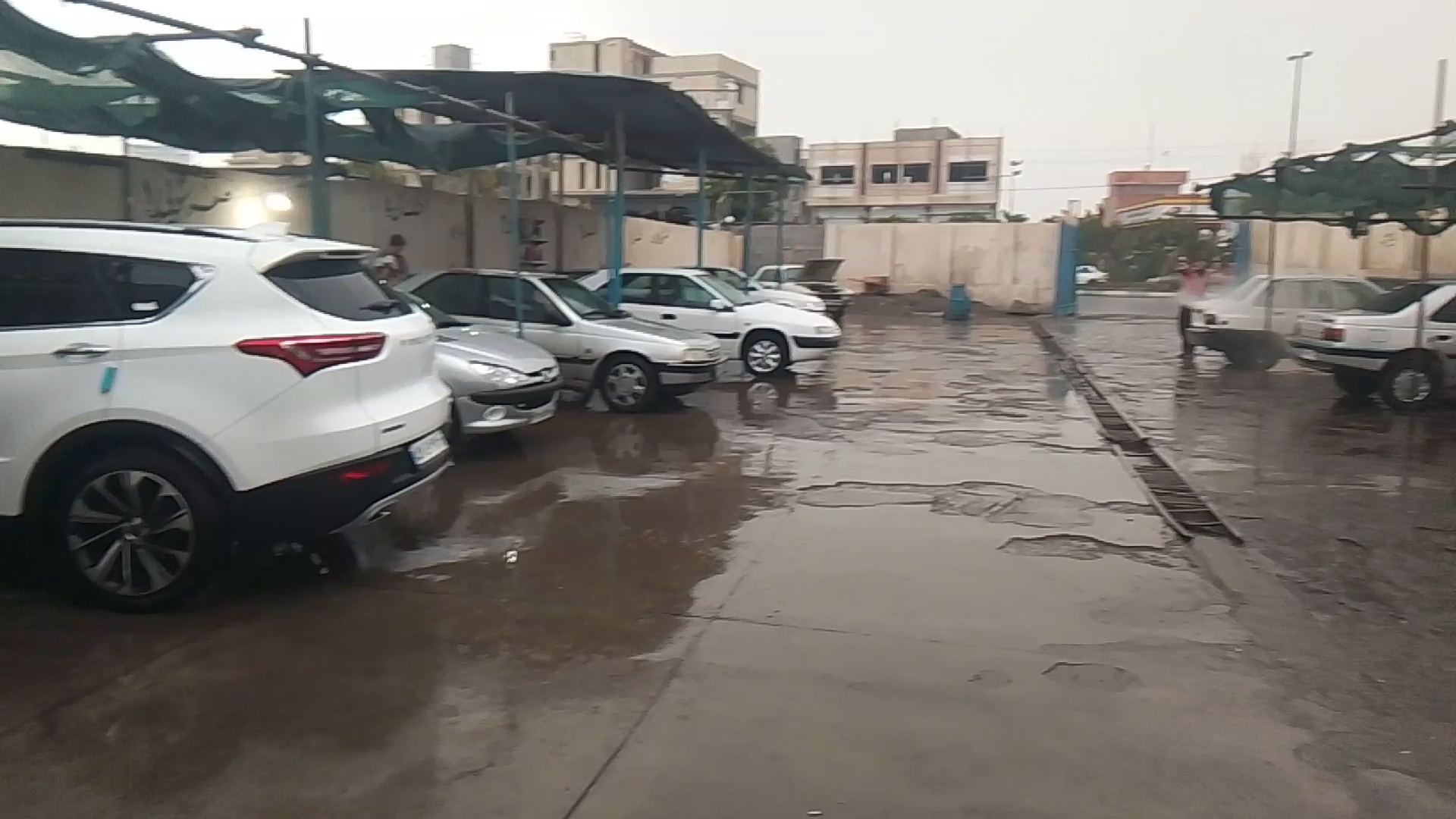 کارواش بزرگ دریا