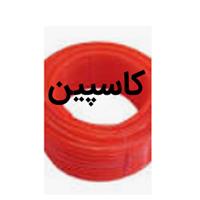 کاسپین