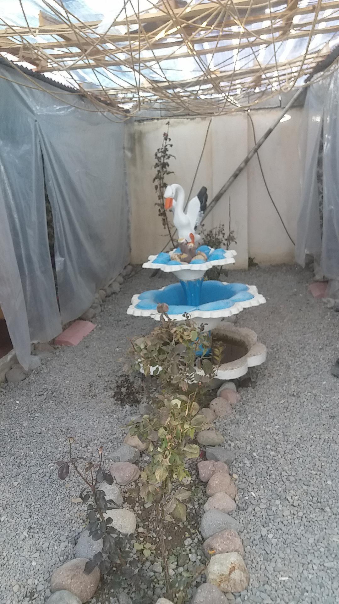 کافه باریش