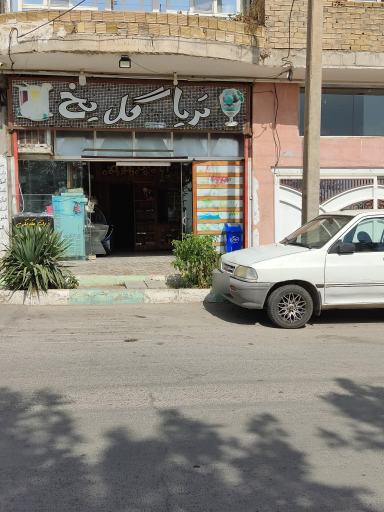 کافه تریا گل یخ