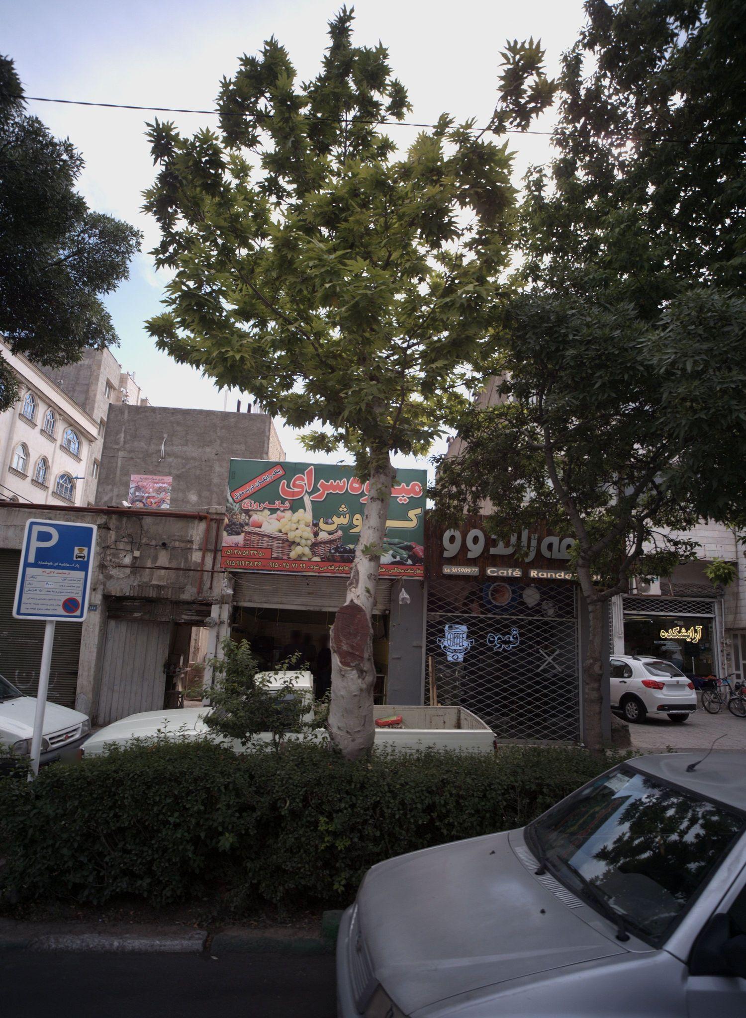 کافه راندو