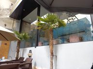 کافه رستوران گجا