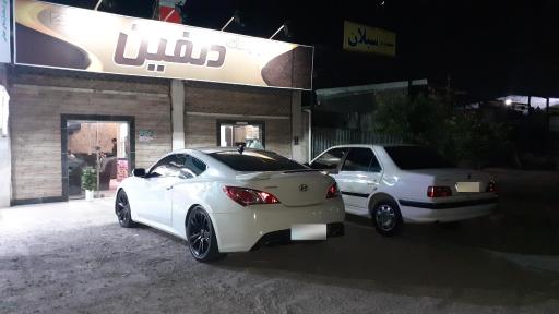 کافه سنتی دلفین
