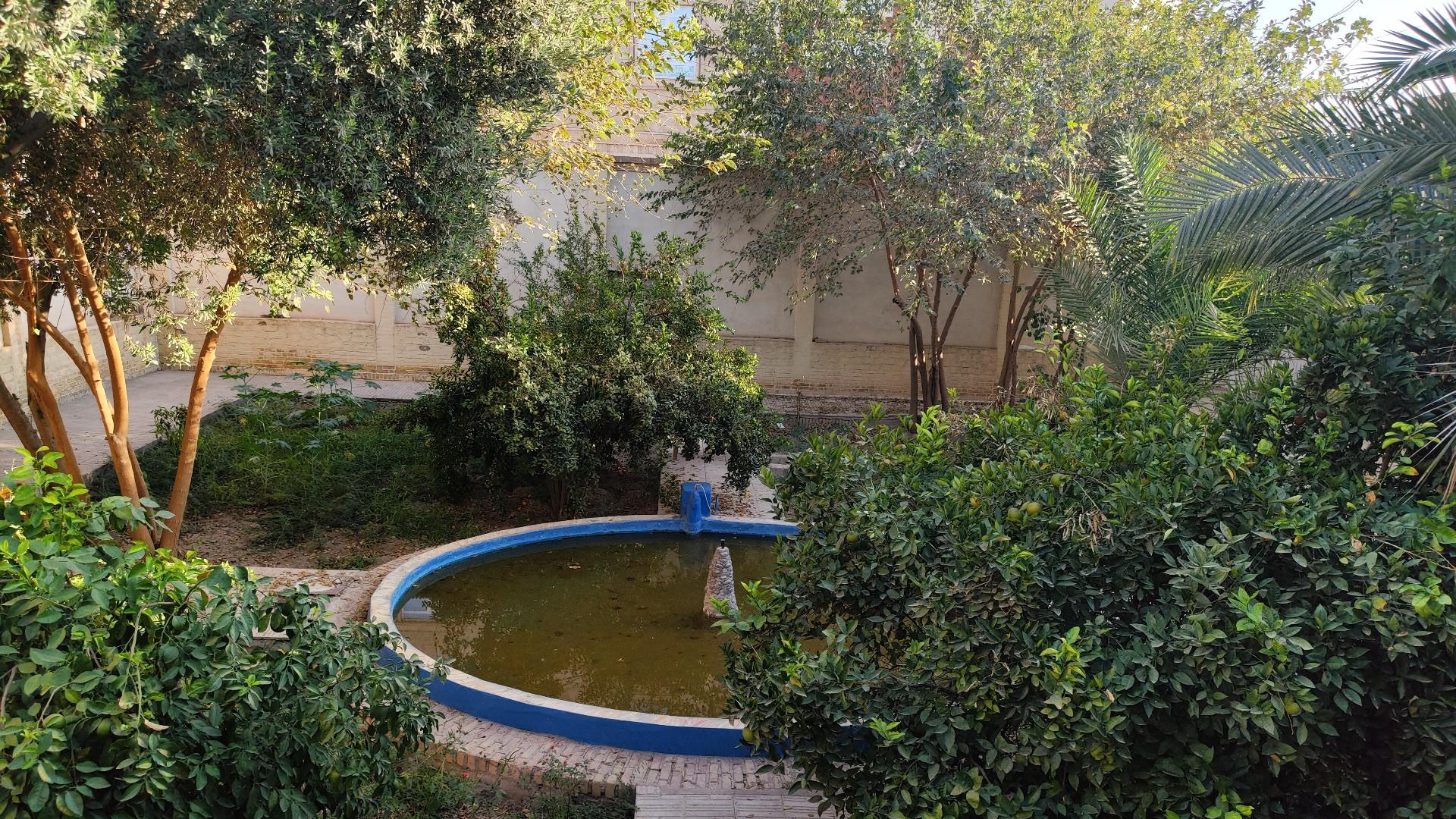 کافه عدسی هزاردرخت