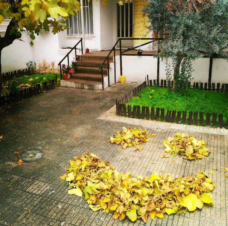 کافه فکر آوند گرگان