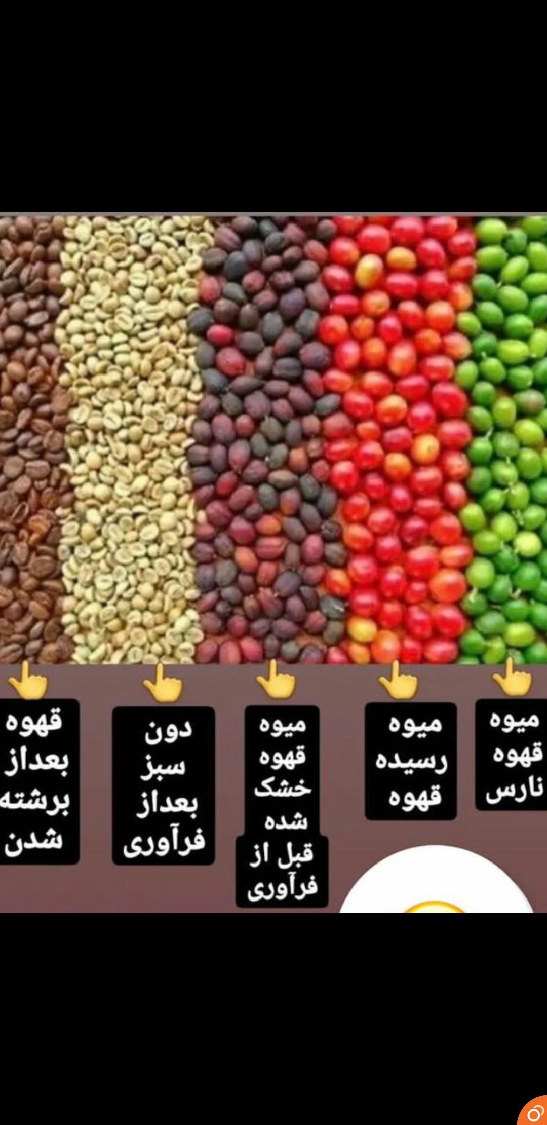 کافه هانی