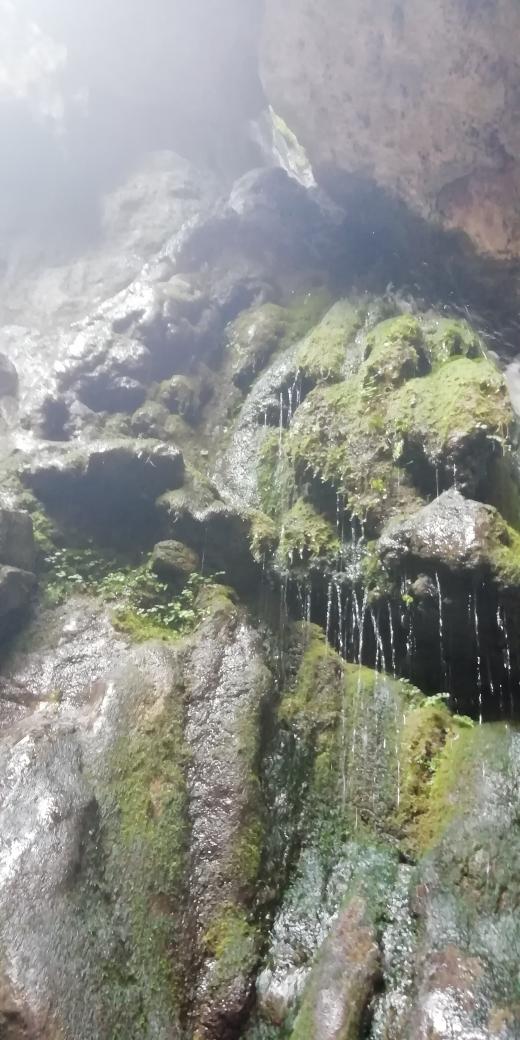 کافه و دیزی سرای پوریا
