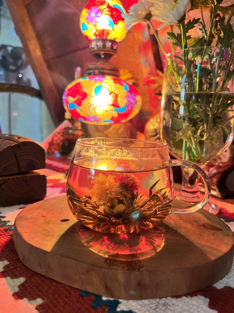 کافه کاکاتو