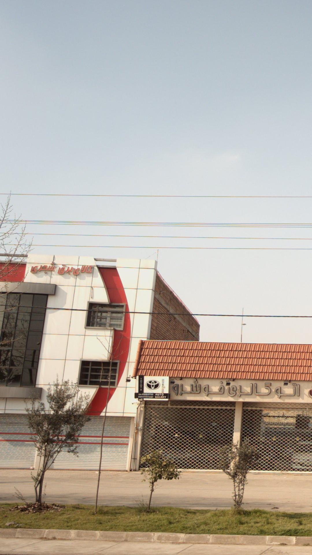 کالای برق شجری