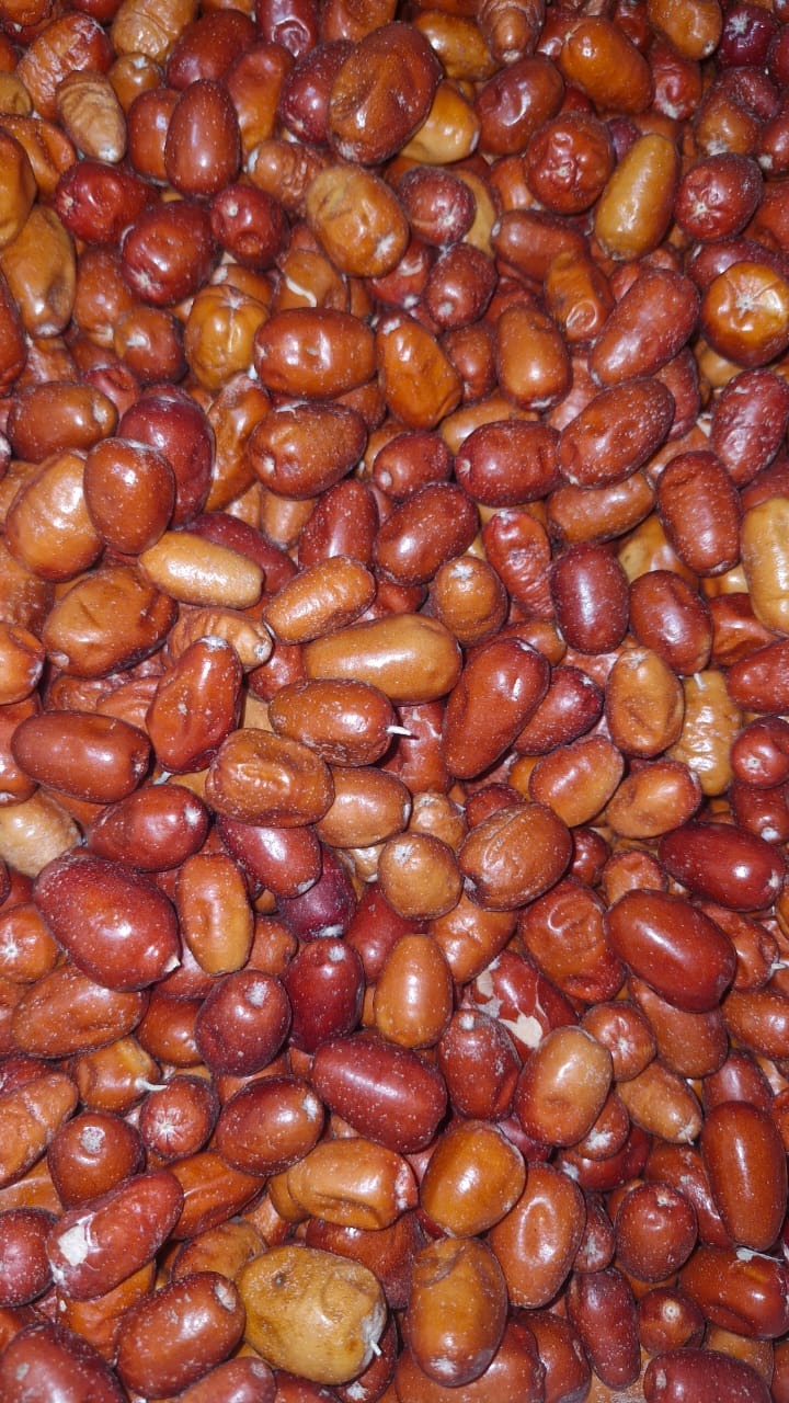 کامک تحفه