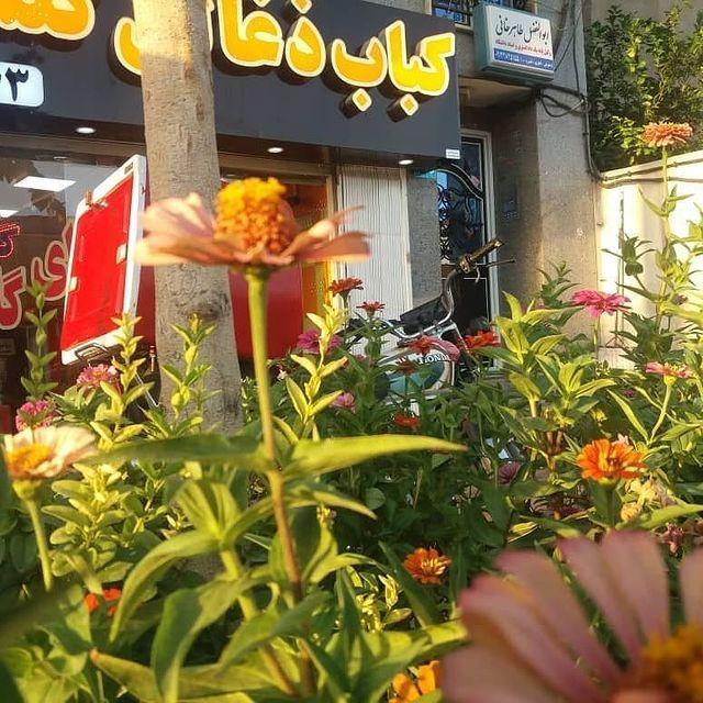 کباب ذغالی گلستان