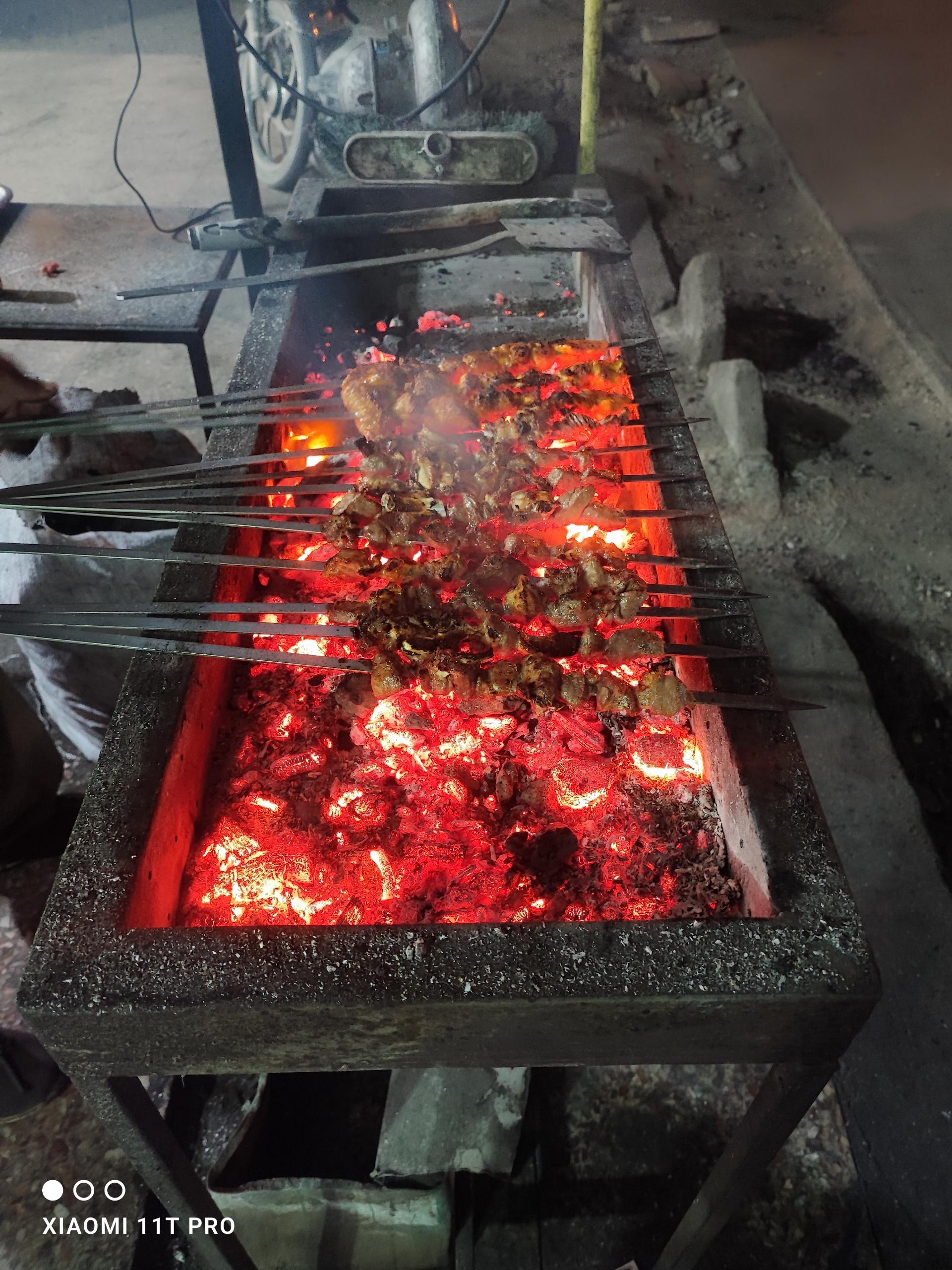 کبابی عظیم ایرندگانی