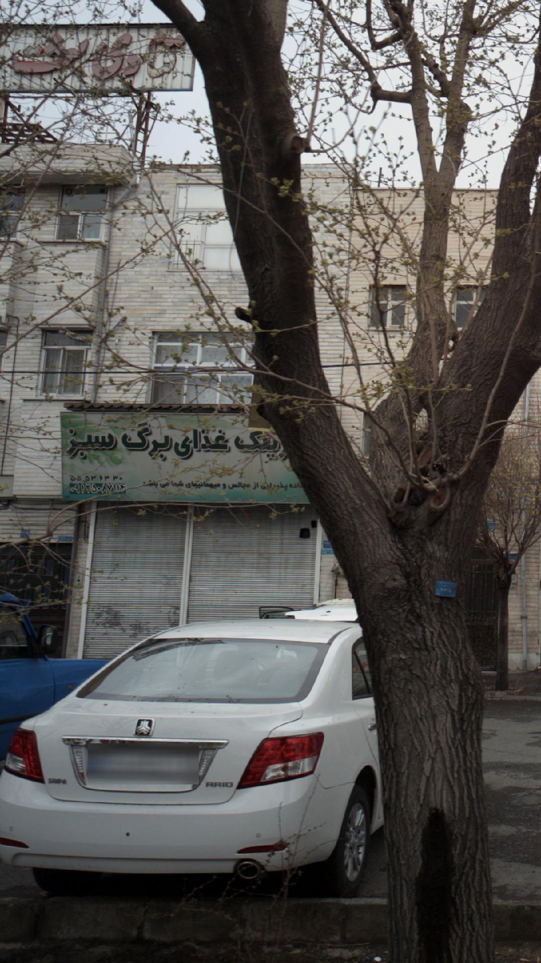 کترینگ غذای برگ سبز