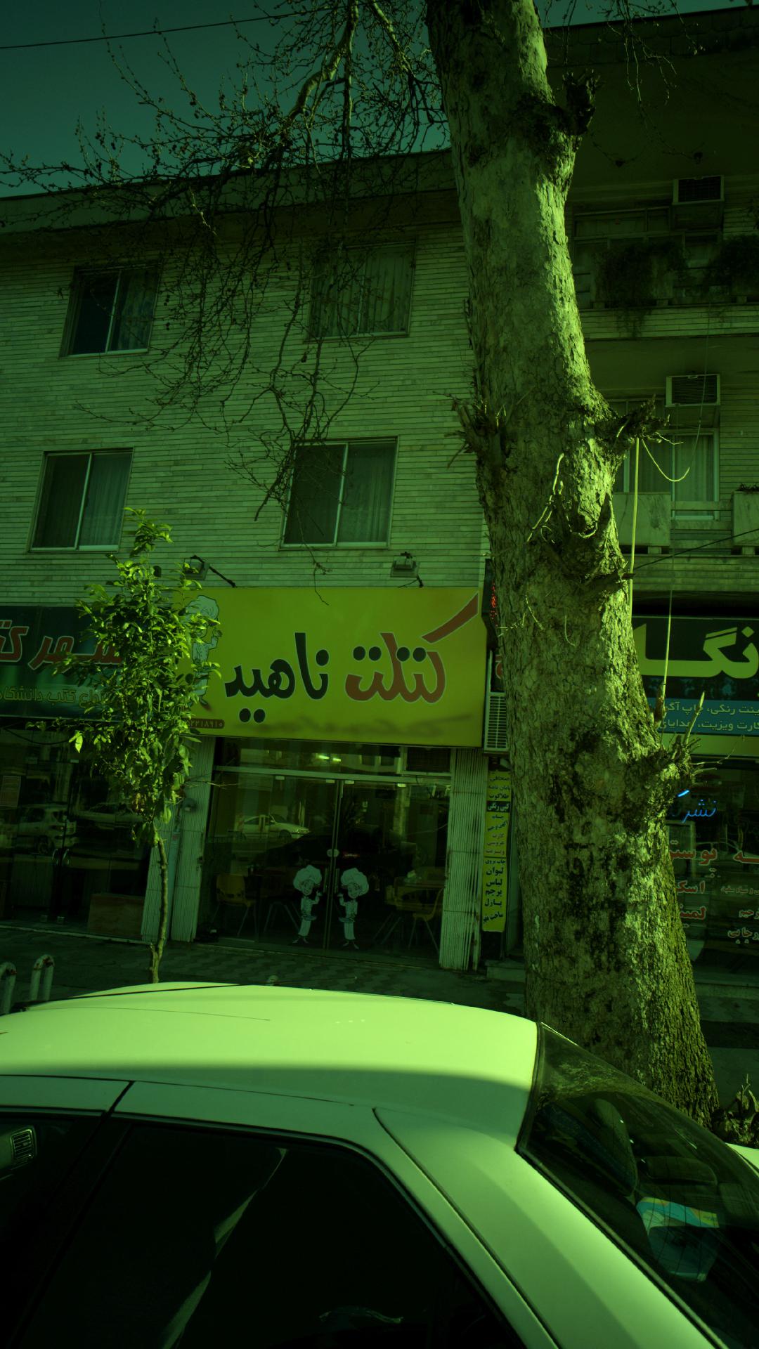 کتلت ناهید