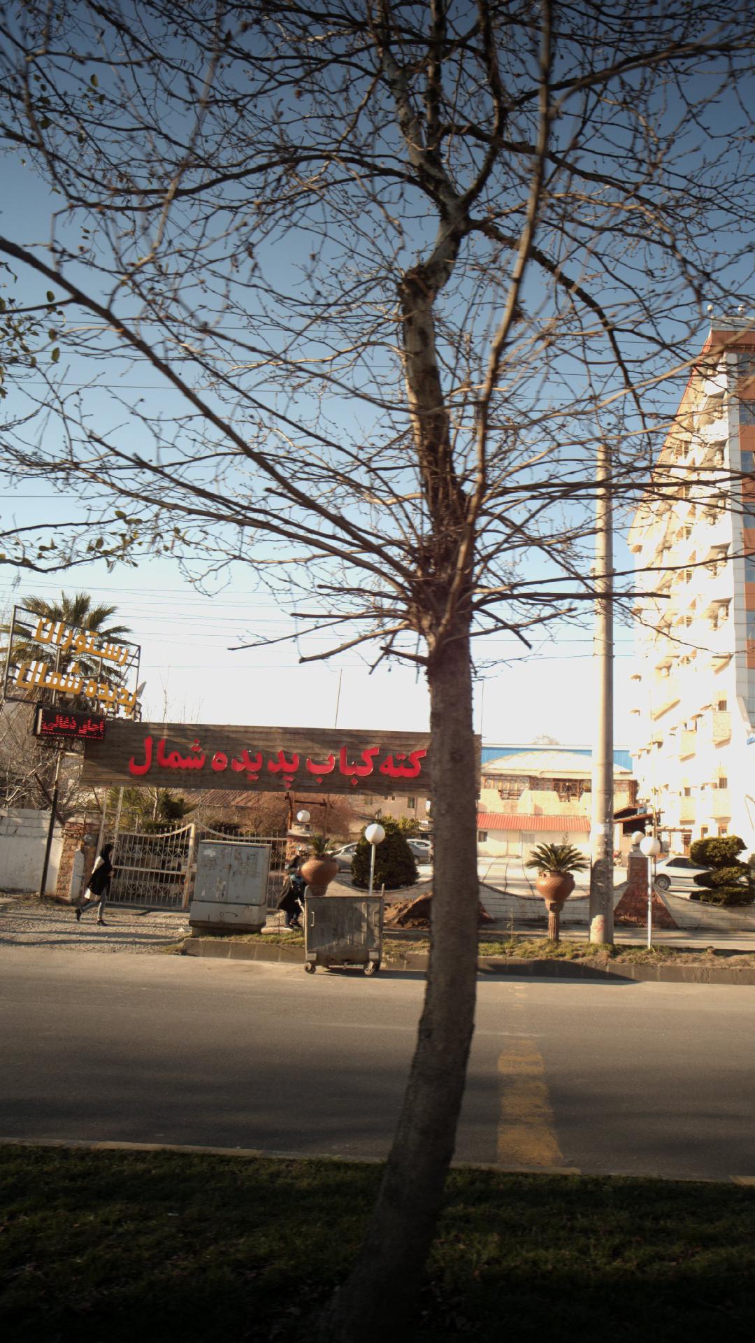 کته کباب پدیده شمال