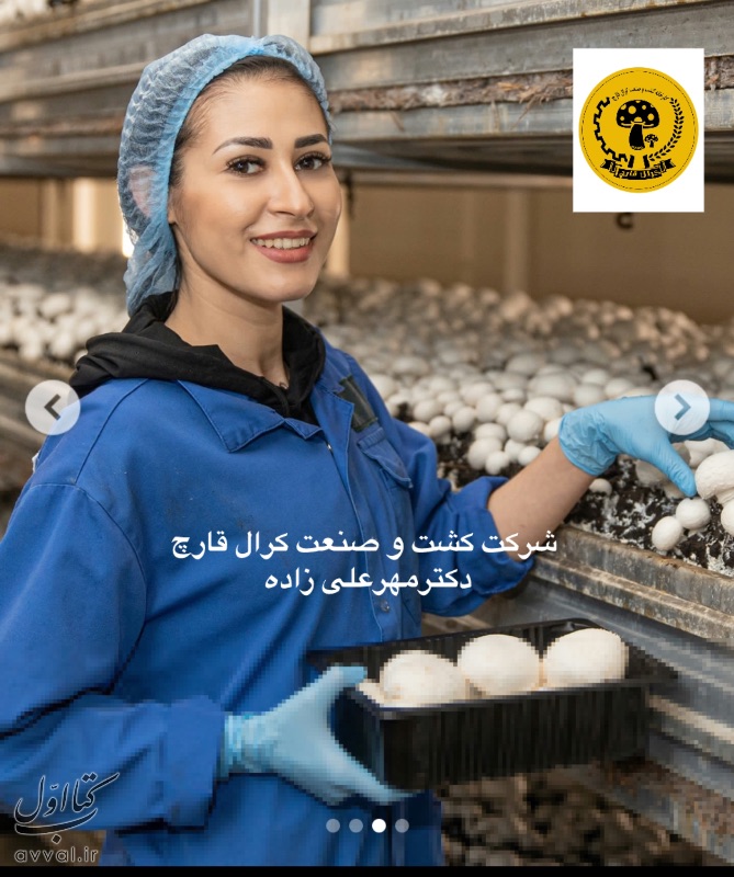 کرال قارچ