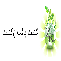 کشت بافت زرکشت