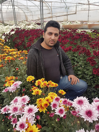 کشت و صنعت JR7