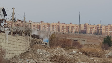 کشتارگاه زیتون کار