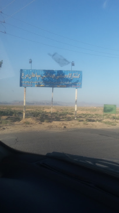 کشتارگاه سپاهان مرغ